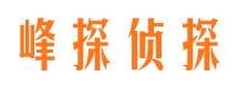 仲巴市私家侦探